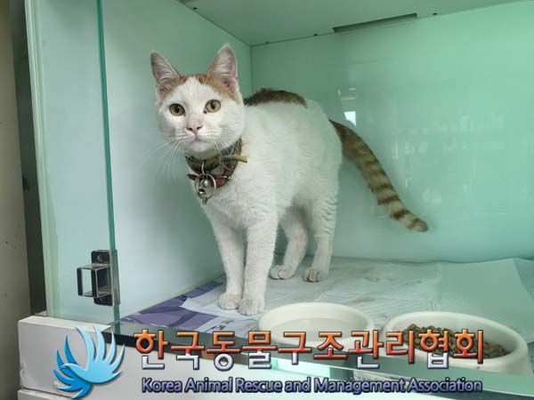 한국동물구조관리협회_411309202300109
